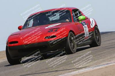 media/Sep-14-2024-Speed Ventures (Sat) [[a2bf28f496]]/Yellow Group/Session 2 (Grapevine)/